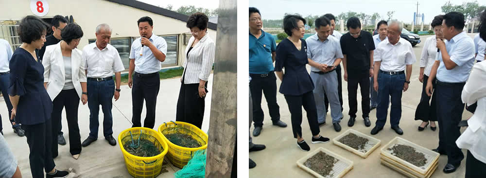 新聞=省委胥秘書長與省農(nóng)業(yè)農(nóng)村廳楊廳長一行及市、縣等領(lǐng)導(dǎo)，來我司視察05.jpg